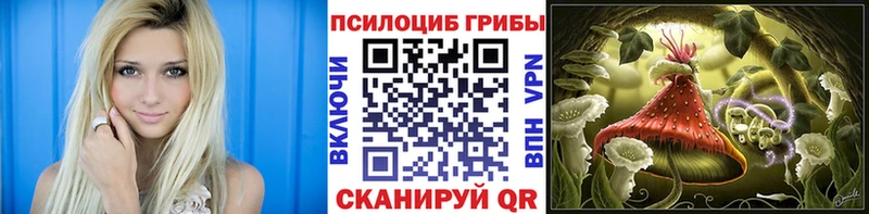 Псилоцибиновые грибы Psilocybe  Астрахань 